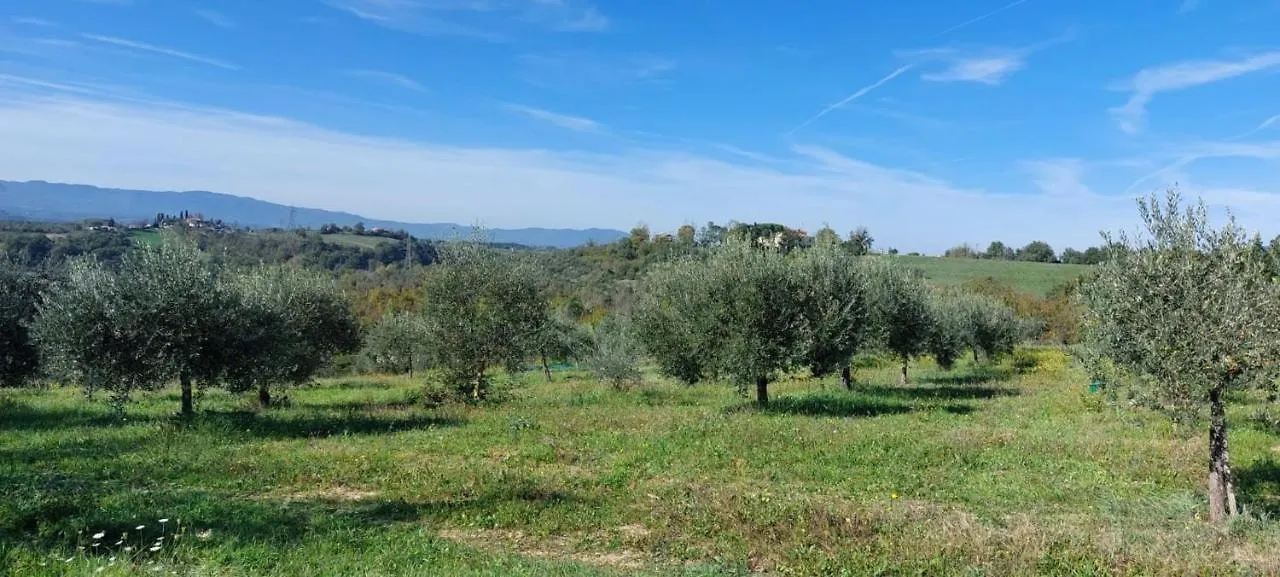 Tenuta I Lecci Terranuova Bracciolini 0*,