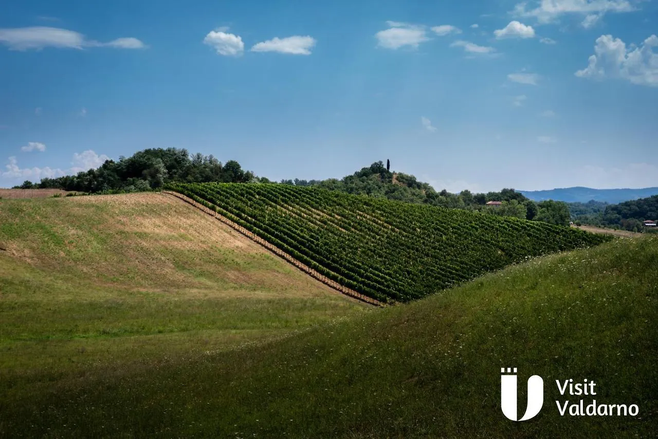 Tenuta I Lecci Terranuova Bracciolini