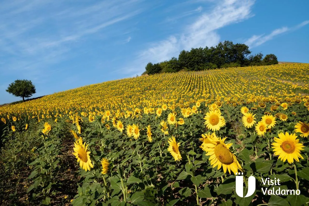 Farm stay Tenuta I Lecci Terranuova Bracciolini Italy